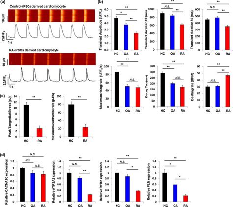 Characterisation Of Cardiomyocytes Derived From Patient Specific