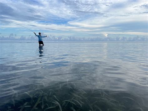 Top 5 Casting Mistakes Saltwater Fly Anglers Make (and How to Fix Them