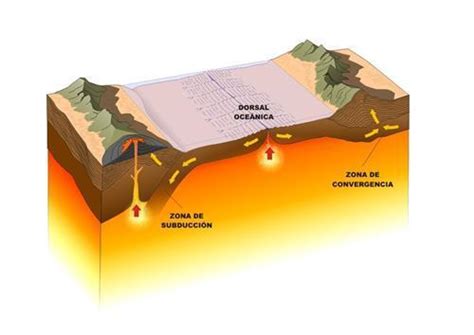 Qu Son Las Placas Tect Nicas Resumen Para Ni Os