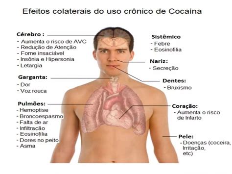 Em Qual Órgão A Droga Atua Primeiramente No Corpo Humano - Ação das drogas sobre o sistema nervoso | PPTX