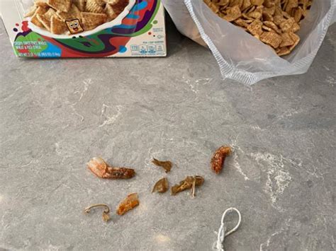 Man Finds Shrimp Tails in Box of Cinnamon Toast Crunch Cereal | FN Dish - Behind-the-Scenes ...