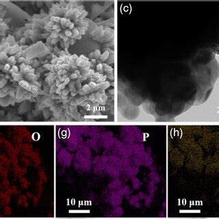 A Lowmagnification And B Highmagnification Sem Images Of Moo Px Prs