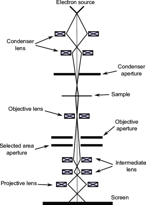 4: Transmission electron microscope schematic diagram. | Download ...