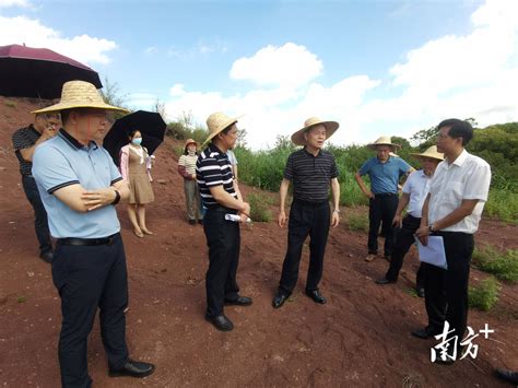 分工协作挂图作战！兴宁市市长洪国华到龙田、叶塘两镇调研水田林长巡查