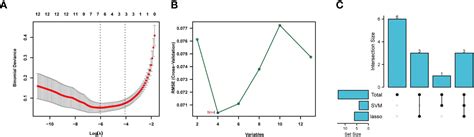 Frontiers Machine Learning Based Identification Of Cybb And Fcar As