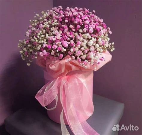 Композиции из Гипсофилы. Радужная Гипсофила купить в Новокузнецке ...