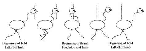 Head bobbing – Treemagineers Blog