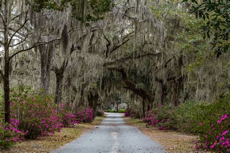 Georgia - Humid, Subtropical, Rainfall | Britannica