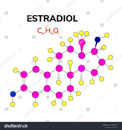 Estradiol Chemical Structure Woman Sex Hormone Stock Vector Royalty Free 2138819213