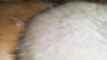 Tomando Una Gran Polla Peluda XVIDEOS