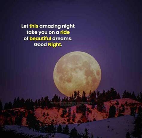 Good Night English Quotes