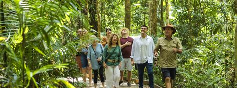 Day Reef And Daintree Rainforest Cairns Discovery Tours