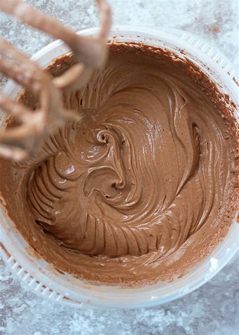 Easy Vegan Chocolate Ice Cream Recipe Savory Spin