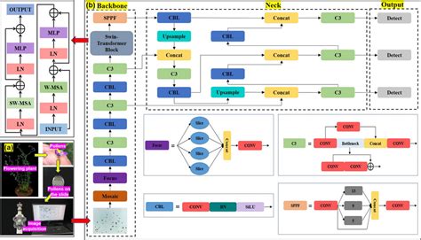 Procedure Of Pollen Sample Image Preparation A And Structure Of YOLOv5