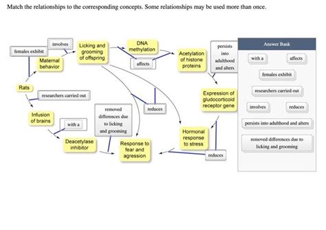 Solved Match The Relationships To The Corresponding Chegg