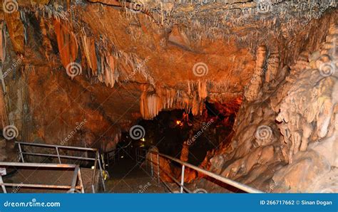 Dim Cave Antalya Stock Photo Image Of Rock Quail