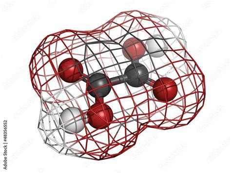 Oxalic Acid Molecule Its Salt Calcium Oxalate Is The Main Com Illustration Stock Adobe Stock