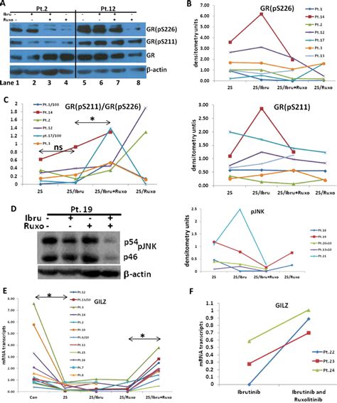 Ruxolitinib Decreases Gr Ps And Enhances Gilz Expression With