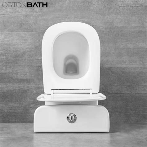 Two Piece Europe Spain Ghana Africa BACK TO WALL RIMLESS WC Toilet