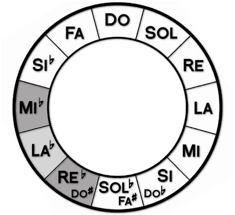 Teoria Musicale Il Circolo Delle Quinte