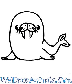 Walrus Face Drawing