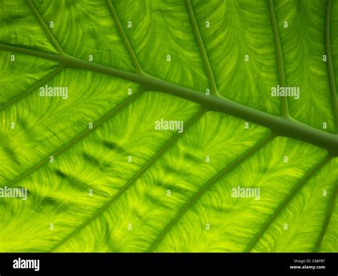 Backgrounds Stock Photos And Images From Alamy