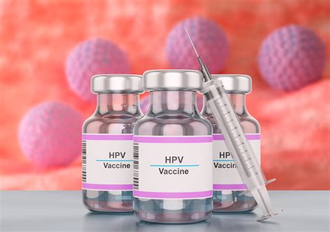 Infecção pelo vírus HPV saiba como prevenir Med Rio Check up