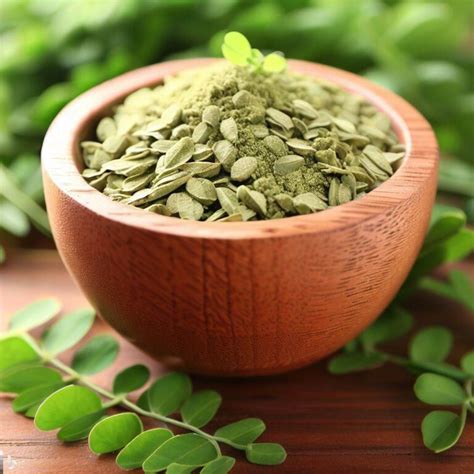 Benef Cios Da Moringa Guia Das Suculentas