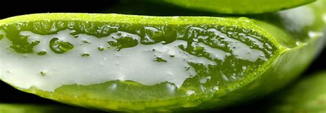 Natural Healing for Gum Boils – Strong Jaw Supplements