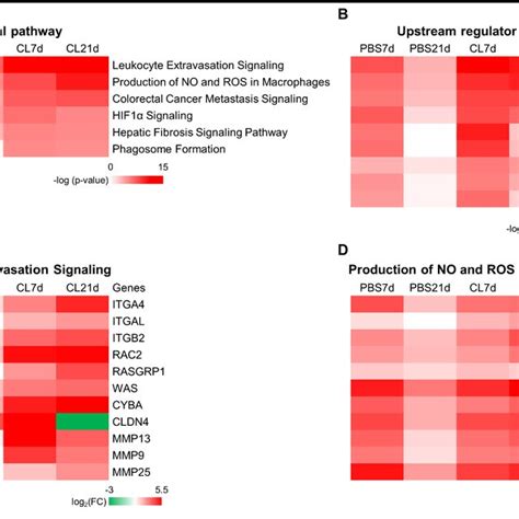 Figure Supplement Identification Of Canonical Pathways And Upstream