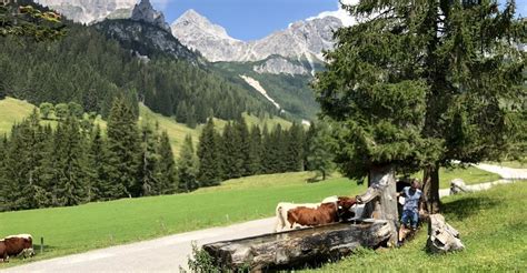 Filzmoos Oberhofalm Sulzenalm Filzmoos BERGFEX Wanderung