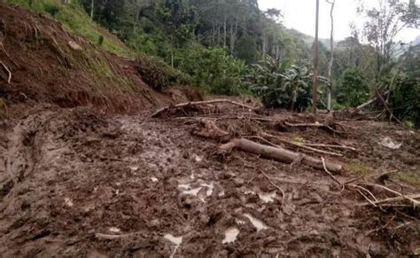 Sudah Pekan Lebih Akses Jalan Transmigrasi Ulumanda Terputus Kadis