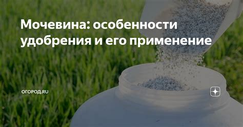 Мочевина: особенности удобрения и его применение | огород.ru | Дзен
