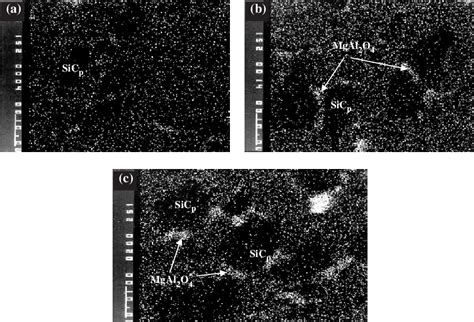 Figure 1 From Corrosion Behavior Of An Artificially Aged T6 AlSiMg