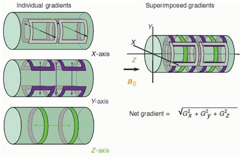 Magnetic Resonance Basics Magnetic Fields Nuclear Magnetic