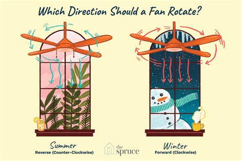 Ceiling Fan Direction Summer Winter Diagram | Review Home Decor