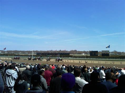 Aqueduct Picks: The Secret Weapon for Winning Big! - fgbya9b