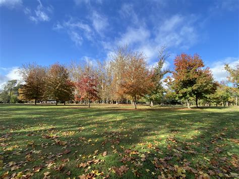 Wodonga - Albury River Walk | Trail Navigator Victoria