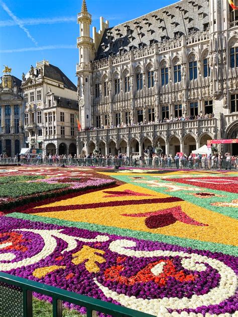 Brussels Flower Carpet: Everything You Need to Know for 2024 • Jessica ...