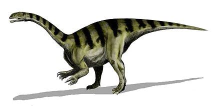 Norico (geologia) - Wikipedia