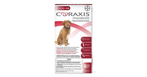 Is Heartworm Medication Necessary For Dogs