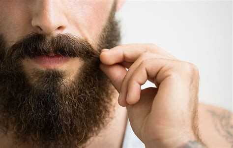 5 Beard Maintenance Tips Every Man Should Know High End Barbershop