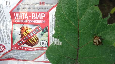 ДЕШЕВОЕ И ОЧЕНЬ ЭФФЕКТИВНОЕ УНИВЕРСАЛЬНОЕ СРЕДСТВО ДЛЯ БОРЬБЫ С ...