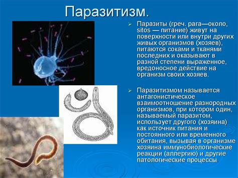 Паразитизм. Виды паразитизма. Паразитология - online presentation