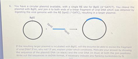 You Have A Circular Plasmid Available With A Single Chegg