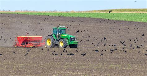 It’s Spring, and Planting Season for Our Wheat - Farmboy