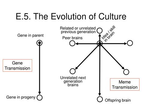 PPT - The Evolution of Culture PowerPoint Presentation, free download - ID:2737435