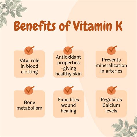 Vitamin K Benifits Source Deficiency Toxicity Nutribs