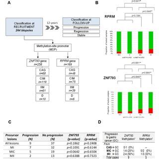 CpG Methylation Signature Of Intestinal And Diffuse Types Of Gastric