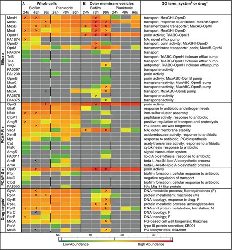 Individual Protein Abundance Data Suggest Differential Antibiotic